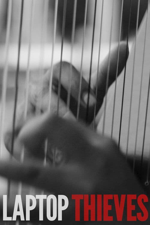 Laptop Thieves