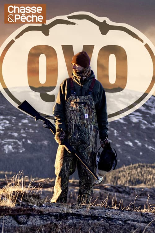 Québec à vol d'oiseau