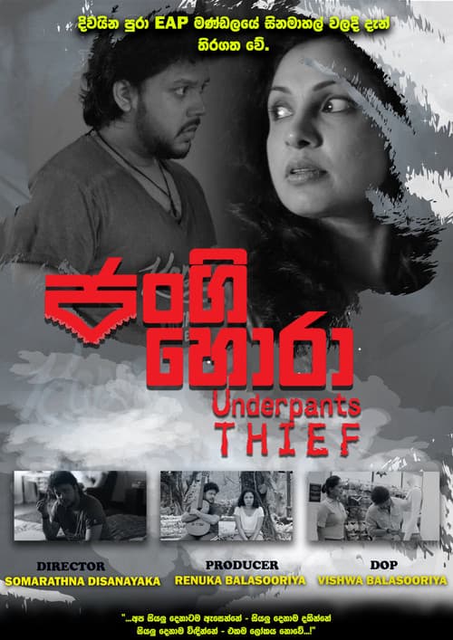 The Underpants Thief