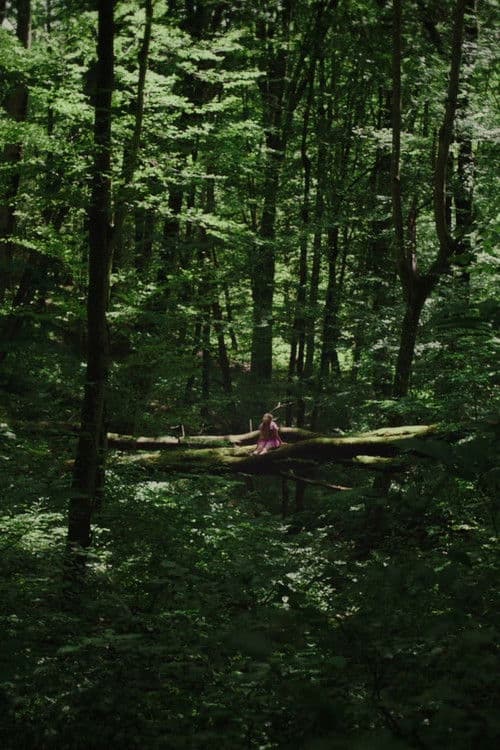 Kétoldali közelítés