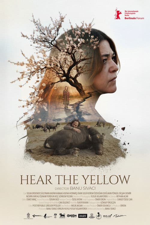 Hear the Yellow