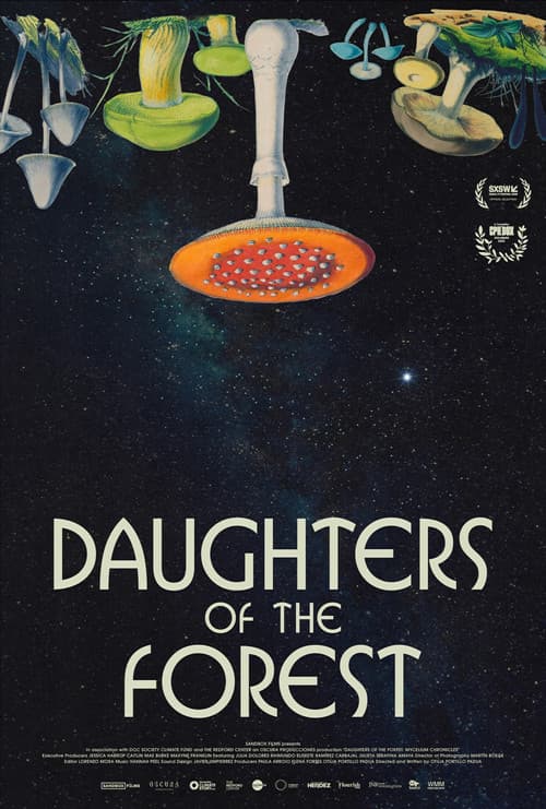 Daughters of the Forest