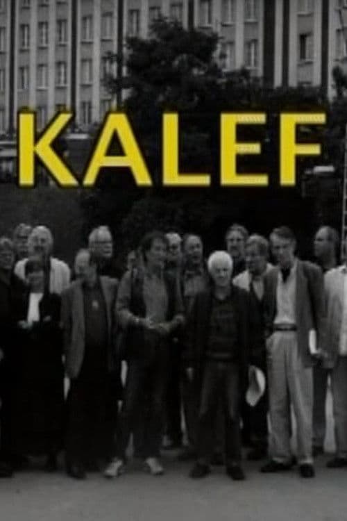 Kalef - A Moszkva téri galeri