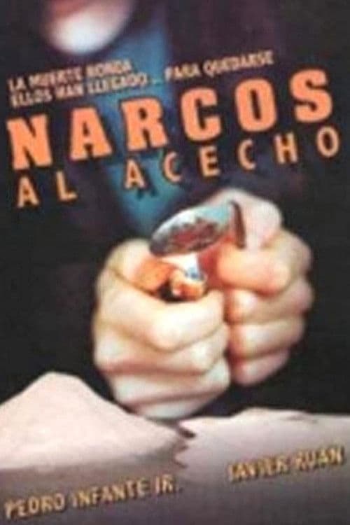 Narcos al acecho