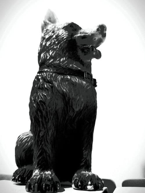 The Dog of Sarandi Alley